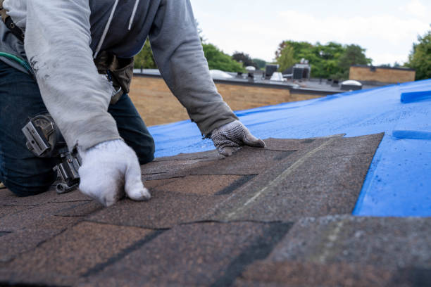 Best Roof Ventilation Installation  in Fairfield Harbour, NC
